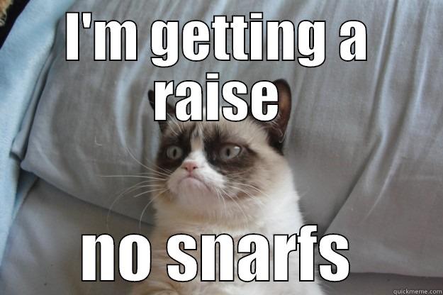 creative title - I'M GETTING A RAISE NO SNARFS Grumpy Cat