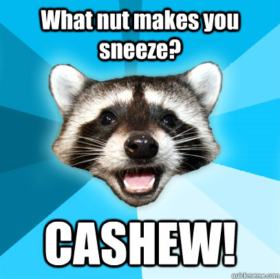 What nut makes you sneeze? CASHEW!  Lame Pun Coon
