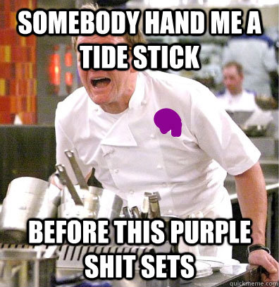 Somebody hand me a tide stick before this purple shit sets - Somebody hand me a tide stick before this purple shit sets  Unsightly Stain Gordon Ramsay