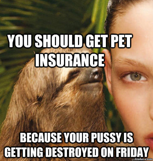 You should get pet insurance Because your pussy is getting destroyed on friday  rape sloth
