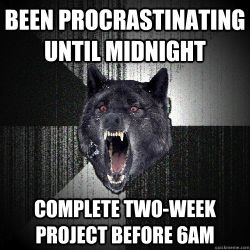 been procrastinating until midnight complete two-week project before 6am  Insanity Wolf
