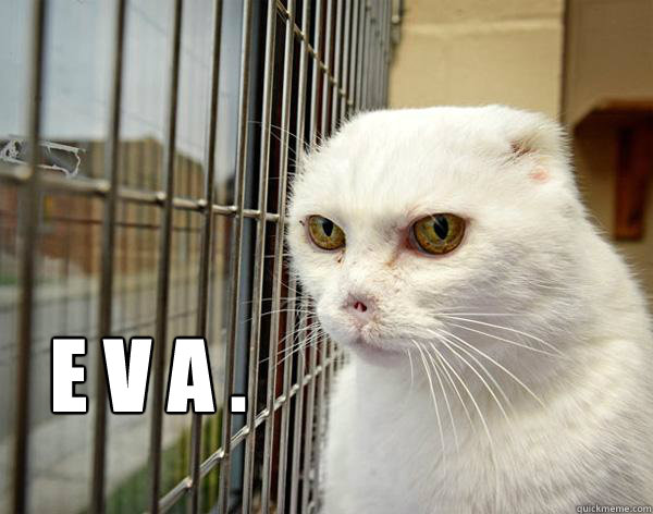 E V A . - E V A .  Jail Cat