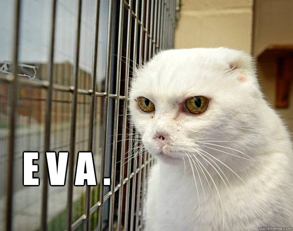 E V A .  Jail Cat