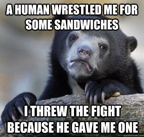 a human wrestled me for some sandwiches i threw the fight because he gave me one  Confession Bear Eating