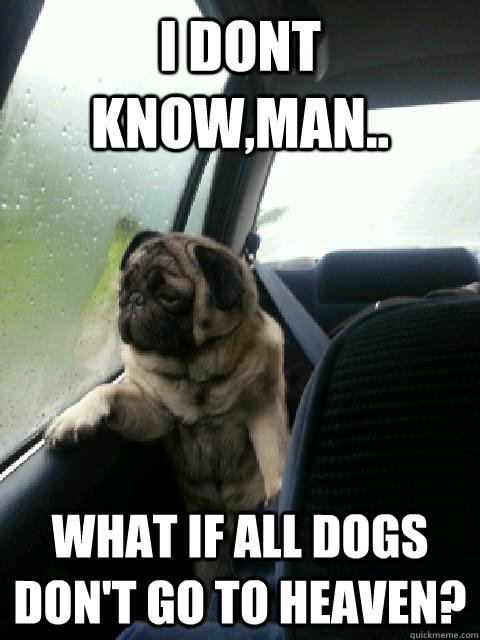 I dont know,man.. What if all dogs DON'T go to heaven?  