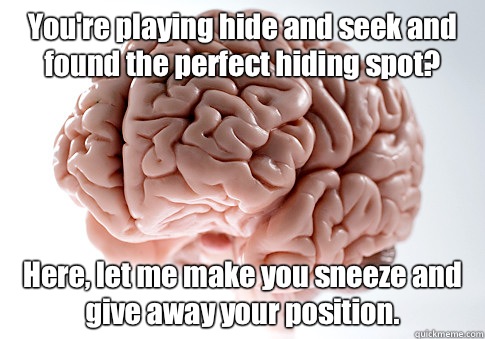 You're playing hide and seek and found the perfect hiding spot? Here, let me make you sneeze and give away your position.   Scumbag Brain