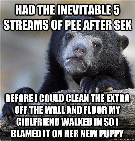 had the inevitable 5 streams of pee after sex Before i could clean the extra off the wall and floor my girlfriend walked in so i blamed it on her new puppy  Confession Bear
