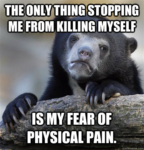 The only thing stopping me from killing myself Is my fear of physical pain.  Confession Bear