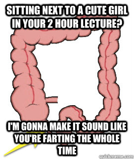 Sitting next to a cute girl in your 2 hour lecture? I'm gonna make it sound like you're farting the whole time  Scumbag Bowels