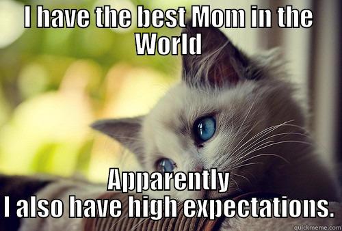 I HAVE THE BEST MOM IN THE WORLD APPARENTLY I ALSO HAVE HIGH EXPECTATIONS. First World Problems Cat