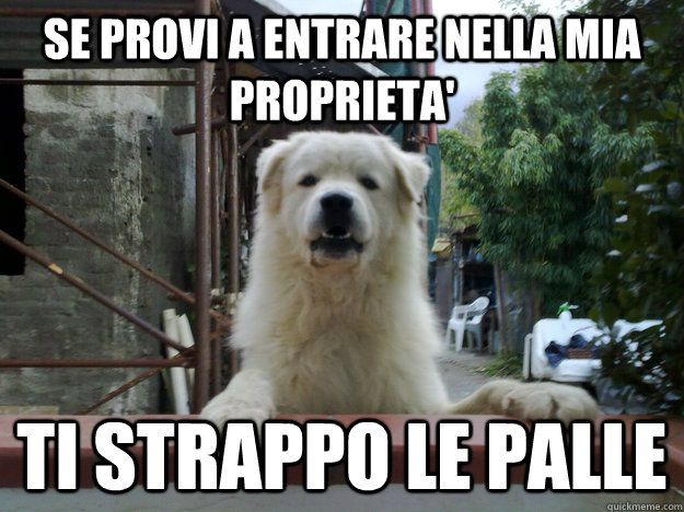 Se provi a entrare nella mia proprieta' Ti strappo le palle  