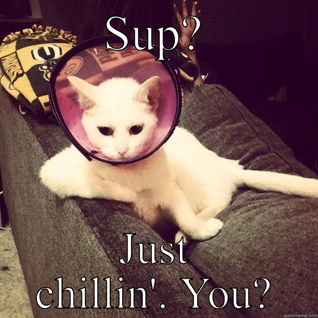SUP? JUST CHILLIN'. YOU? Misc