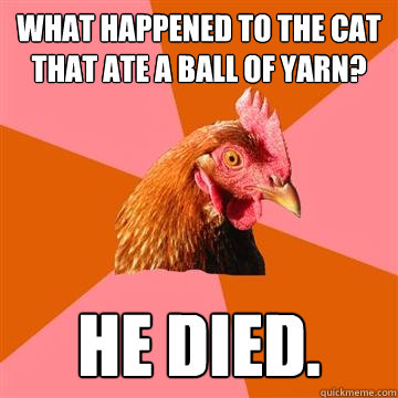 what happened to the cat that ate a ball of yarn? he died. - what happened to the cat that ate a ball of yarn? he died.  Anti-Joke Chicken