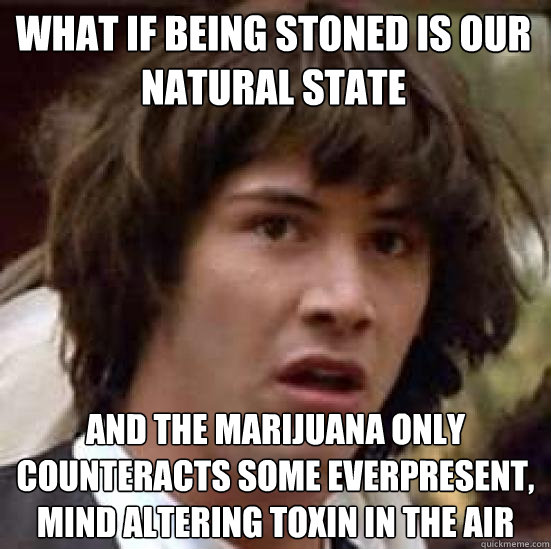 What if being stoned is our natural state and the marijuana only counteracts some everpresent, mind altering toxin in the air - What if being stoned is our natural state and the marijuana only counteracts some everpresent, mind altering toxin in the air  conspiracy keanu