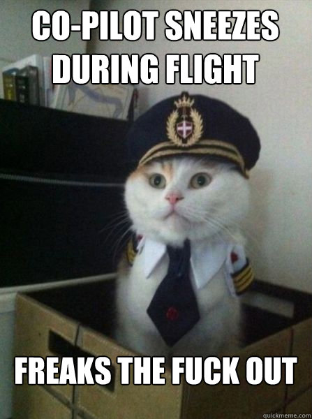 CO-PILOT SNEEZES DURING FLIGHT FREAKS THE FUCK OUT   Captain kitteh