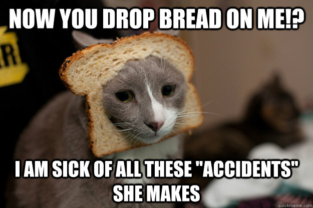 Now you drop bread on me!? I am sick of all these 