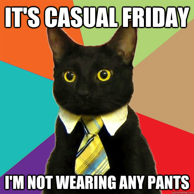 it's casual friday i'm not wearing any pants - it's casual friday i'm not wearing any pants  Business Cat