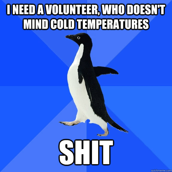 i need a volunteer, who doesn't mind cold temperatures shit  Socially Awkward Penguin
