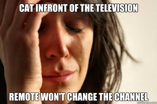 Cat infront of the television remote won't change the channel  First World Problems
