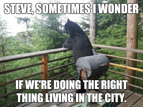 Steve, sometimes I wonder If we're doing the right thing living in the City.   Deep confession bear