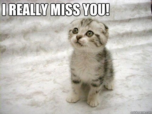 I Really Miss You!  cute kitten