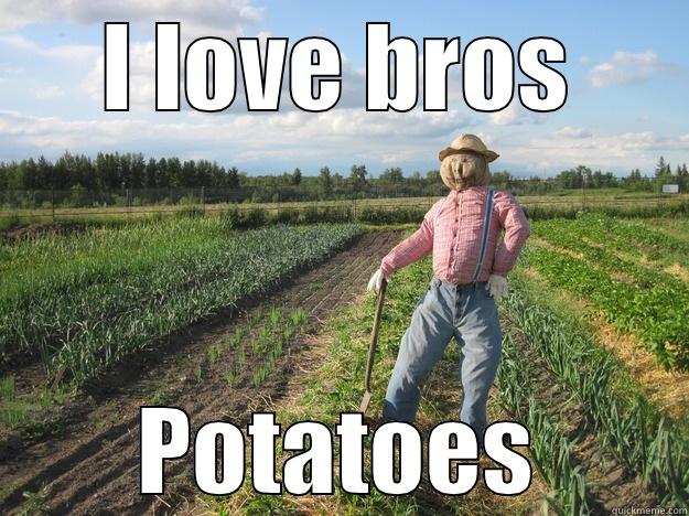 I LOVE BROS POTATOES Scarecrow