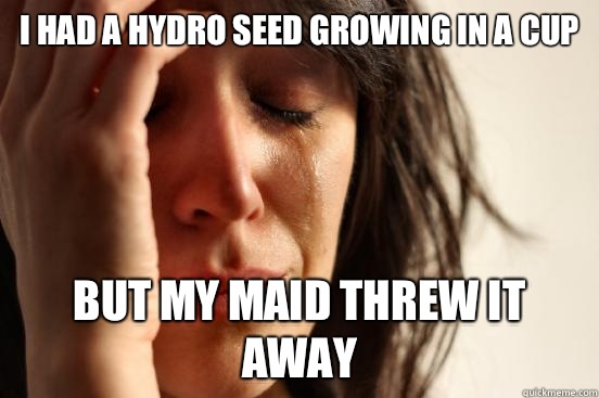 I had a hydro seed growing in a cup But my maid threw it away  First World Problems