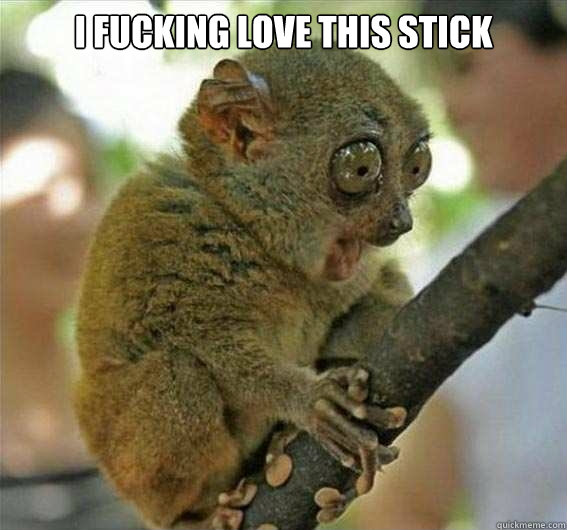 i fucking love this stick   