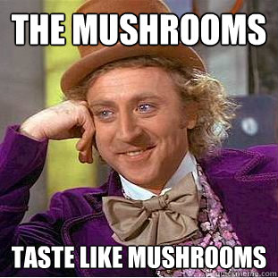 The Mushrooms taste like Mushrooms  Creepy Wonka
