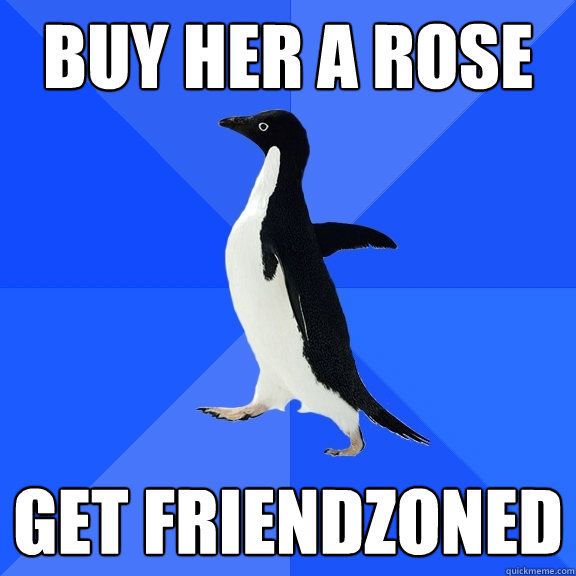 Buy her a rose get friendzoned  Socially Awkward Penguin