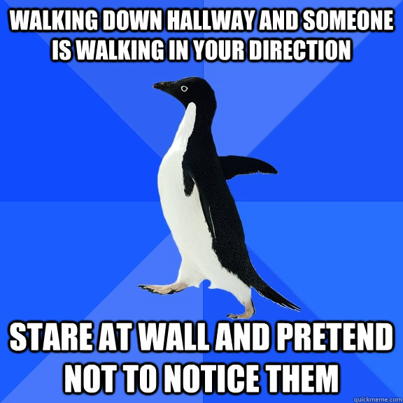 Walking down hallway and Someone is walking in your direction Stare at wall and pretend not to notice them  Socially Awkward Penguin