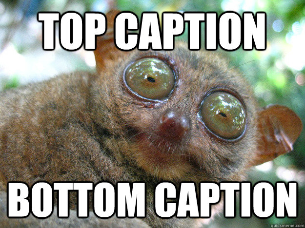 Top caption Bottom caption  