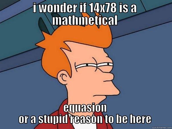 I WONDER IF 14X78 IS A MATHMETICAL EQUASION OR A STUPID REASON TO BE HERE Futurama Fry