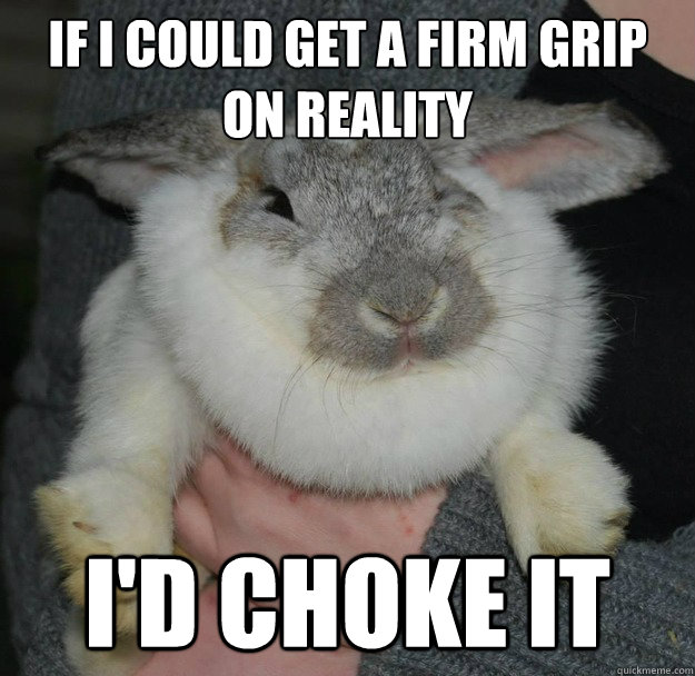 If I could get a firm grip on reality I'd choke it  Angry Bunny