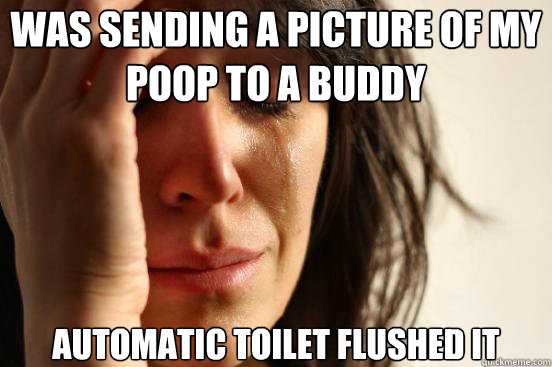 Was sending a picture of my poop to a buddy Automatic toilet flushed it  First World Problems