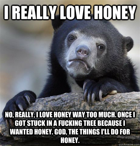 I really love honey no, really, i love honey way too much. once i got stuck in a fucking tree because i wanted honey. god, the things i'll do for honey.  Confession Bear