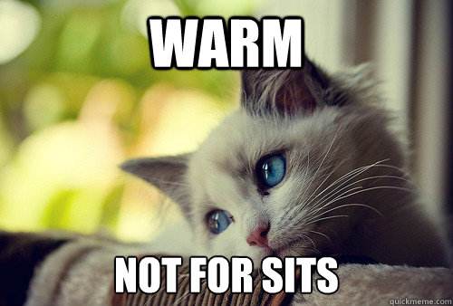 WArm Not for sits  First World Cat Problems