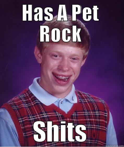 HAS A PET ROCK SHITS Bad Luck Brian