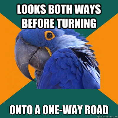 Looks both ways before turning onto a One-way Road  Paranoid Parrot
