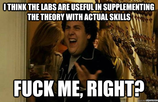 I think the labs are useful in supplementing the theory with actual skills fuck me, right?  fuckmeright