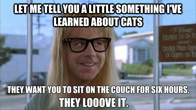 let me tell you a little something i've learned about cats They want you to sit on the couch for six hours.
 They looove it. - let me tell you a little something i've learned about cats They want you to sit on the couch for six hours.
 They looove it.  Sexy Garth Civ V Advice