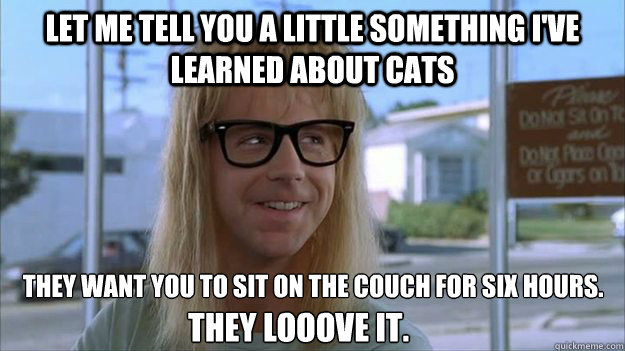 let me tell you a little something i've learned about cats They want you to sit on the couch for six hours.
 They looove it.  