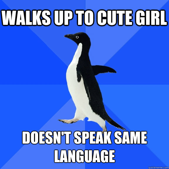 Walks up to cute girl Doesn't speak same language  Socially Awkward Penguin