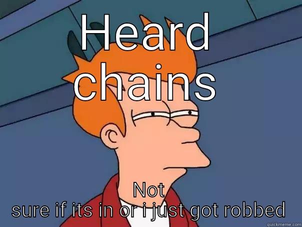 HEARD CHAINS NOT SURE IF ITS IN OR I JUST GOT ROBBED Futurama Fry