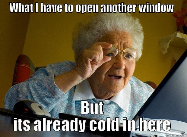 WHAT I HAVE TO OPEN ANOTHER WINDOW  BUT ITS ALREADY COLD IN HERE Grandma finds the Internet
