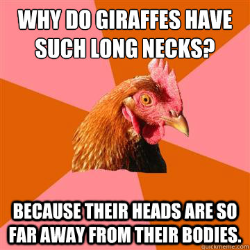 Why do giraffes have such long necks? Because their heads are so far away from their bodies. - Why do giraffes have such long necks? Because their heads are so far away from their bodies.  Anti-Joke Chicken