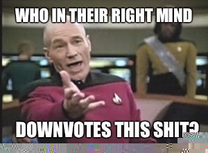 who In their right mind Downvotes this shit?  Annoyed Picard