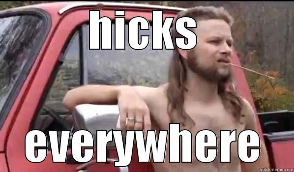 HICKS EVERYWHERE Almost Politically Correct Redneck
