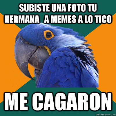 Subiste una foto tu hermana   a memes a lo tico Me cagaron  Paranoid Parrot