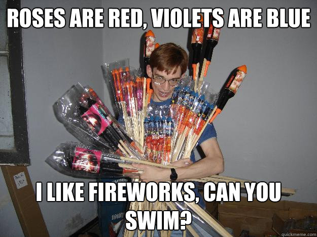 Roses are red, violets are blue I like fireworks, can you swim?  Crazy Fireworks Nerd